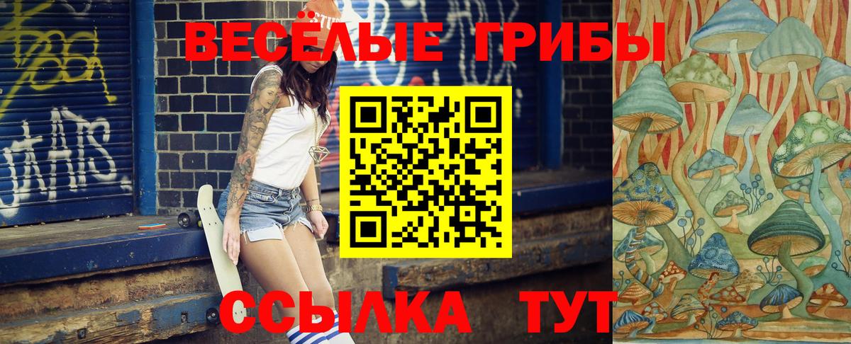 Галлюциногенные грибы Cubensis Карталы