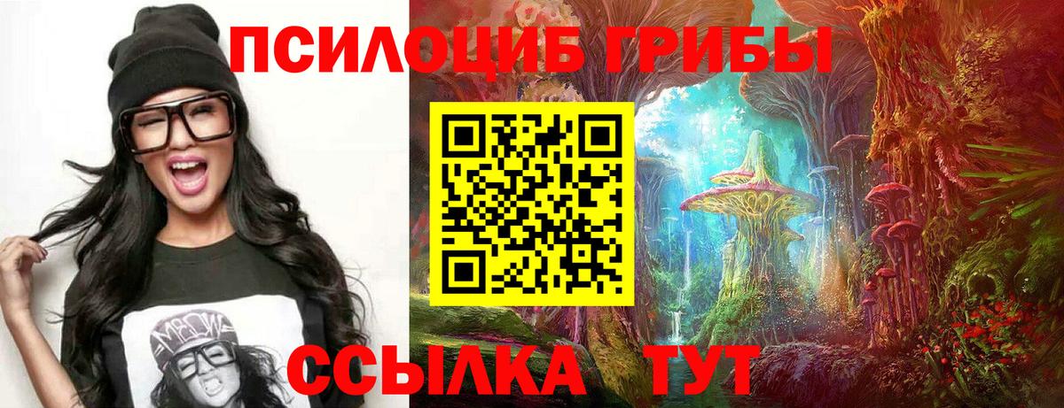 Псилоцибиновые грибы Psilocybine cubensis  Вход с VPN  Карталы 