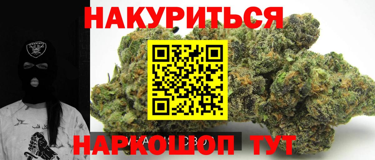Бошки марихуана сатива  Вход с VPN  Бошки Шишки ГИДРОПОН  Карталы  Марихуана планчик  Конопля Ganja 