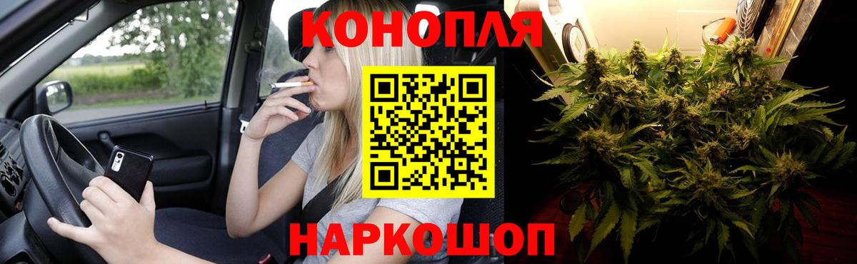 МАРИХУАНА семена Карталы